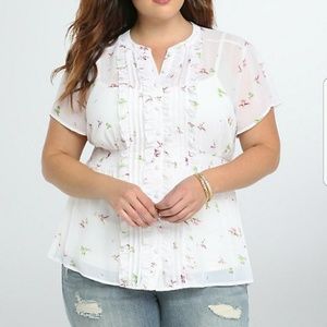 Hummingbird top